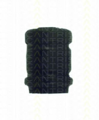 Подвеска, рычаг независимой подвески колеса TRISCAN 8500 24808