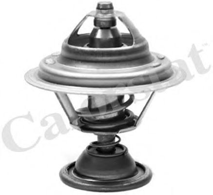 Термостат, охлаждающая жидкость CALORSTAT by Vernet TH7007.82