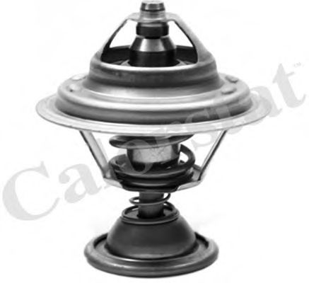 Термостат, охлаждающая жидкость CALORSTAT by Vernet TH7008.82