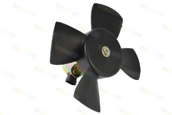 Вентилятор, охлаждение двигателя THERMOTEC D8X001TT