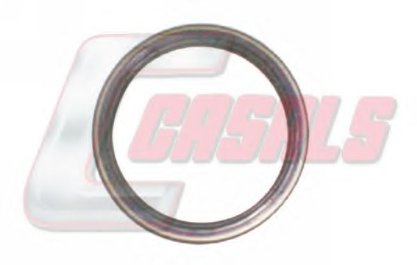 Уплотняющее кольцо, ступица колеса CASALS 20215