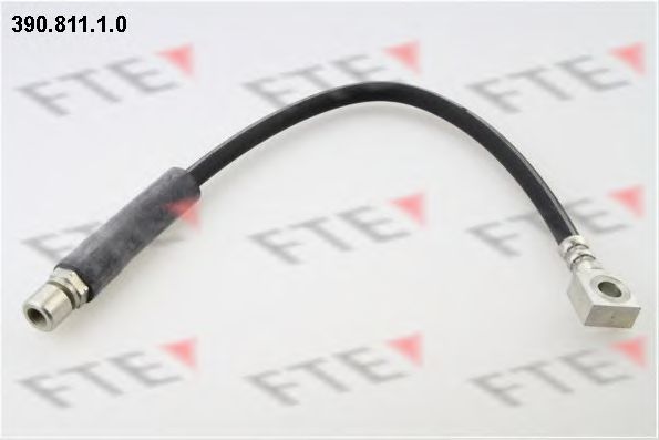 Тормозной шланг FTE 390.811.1.0