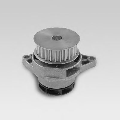 Водяной насос HEPU P558