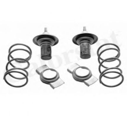 Термостат, охлаждающая жидкость CALORSTAT by Vernet TH7116.79