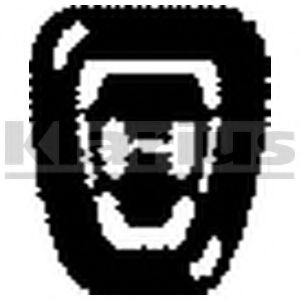 Кронштейн, система выпуска ОГ KLARIUS FTR10