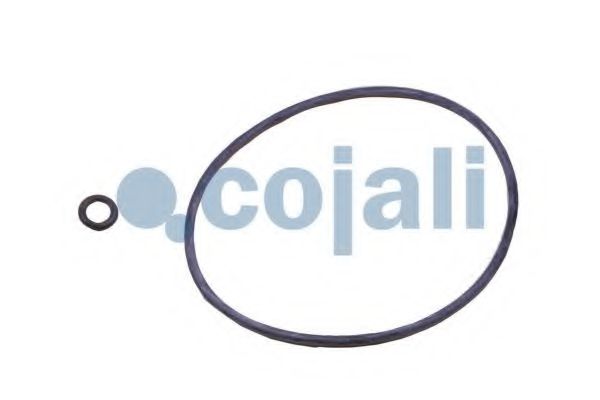Ремкомплект, рабочий цилиндр COJALI 6014130