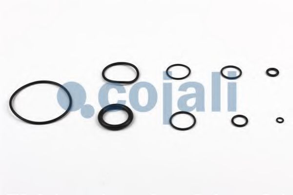 Ремкомплект, усилитель привода сцепления COJALI 6032120