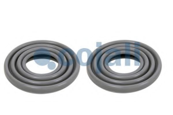 Ремкомплект, тормозной суппорт COJALI 6086020