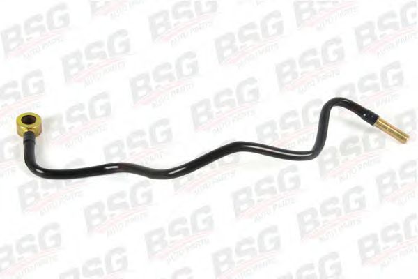 Топливный шланг BSG BSG 30-725-020