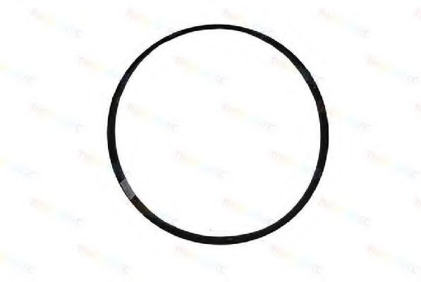 Вентилятор, охлаждение двигателя THERMOTEC D5ME001TT/O