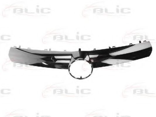 Облицовка / защитная накладка, облицовка радиатора BLIC 6502-07-5063991P