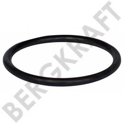 Уплотнительное кольцо, поворотного кулака DPH 34065