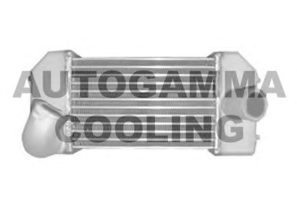 Интеркулер AUTOGAMMA 104136