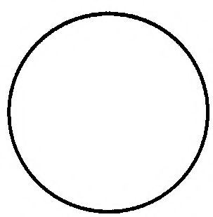 Прокладка, головка цилиндра WILMINK GROUP WG1192559