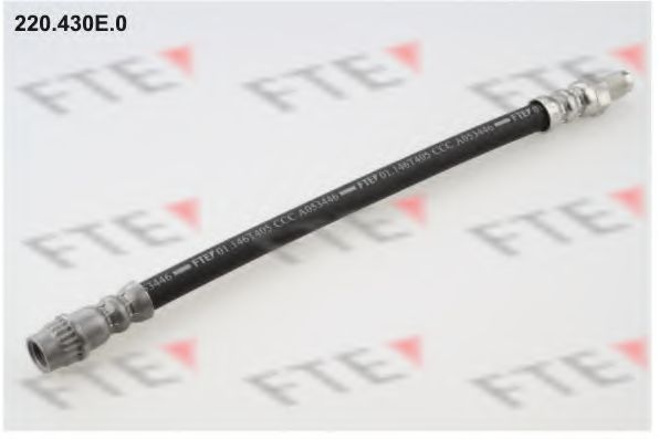 Тормозной шланг FTE 220.430E.0