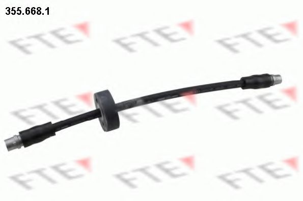 Тормозной шланг FTE 355.668.1
