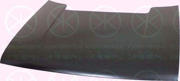 Капот двигателя KLOKKERHOLM 2021280