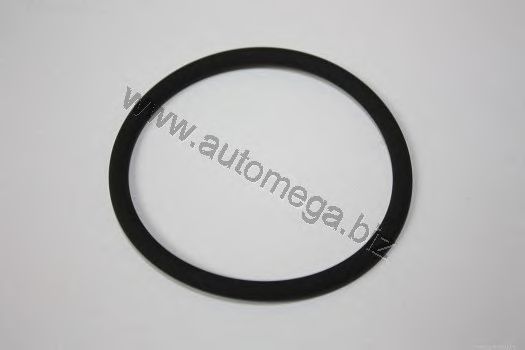 Прокладка, впускной коллектор AUTOMEGA 1058500643
