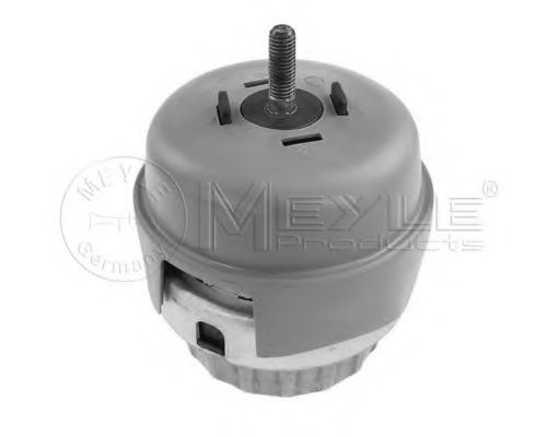 Подвеска, двигатель MEYLE 100 199 0173