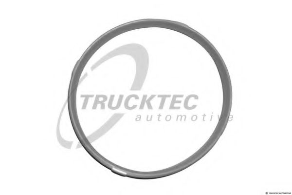 Прокладка, корпус впускного коллектора TRUCKTEC AUTOMOTIVE 08.10.060