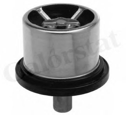 Термостат, охлаждающая жидкость CALORSTAT by Vernet THCT16958.76