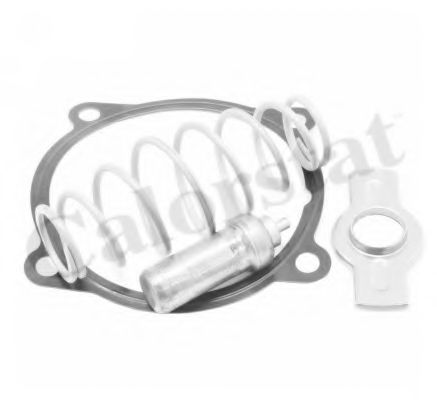 Термостат, охлаждающая жидкость CALORSTAT by Vernet TH7313.79J