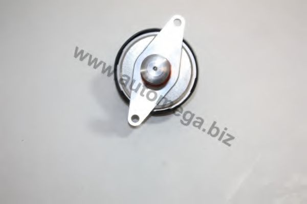 Впускная труба, подвод воздуха AUTOMEGA 3008490156