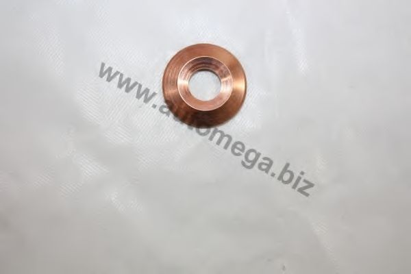 Шайба тепловой защиты, система впрыска AUTOMEGA 30601400095