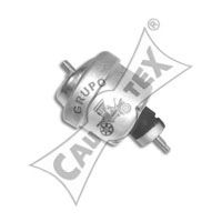 Подвеска, двигатель CAUTEX 480496