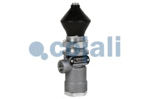 Многопозиционный клапан COJALI 2213200