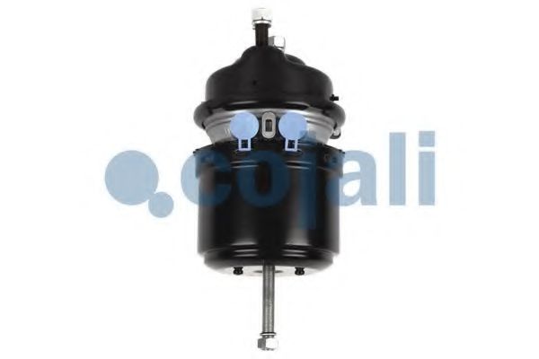 Тормозной цилиндр с пружинным энергоаккумулятором COJALI 2251513