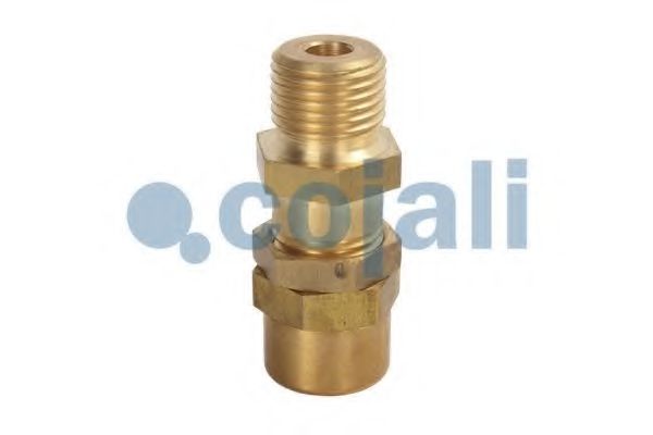 Клапан многоцикловой защиты COJALI 2380150