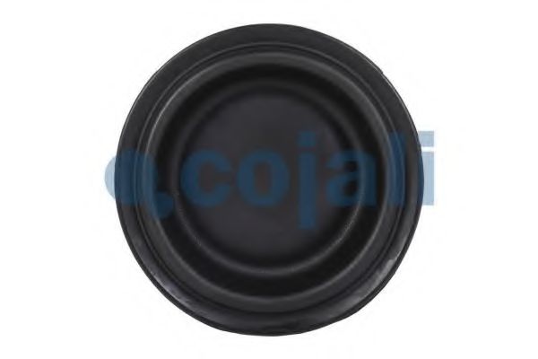 Мембрана, цилиндр пружинного энерго-аккумулятора COJALI 6001118