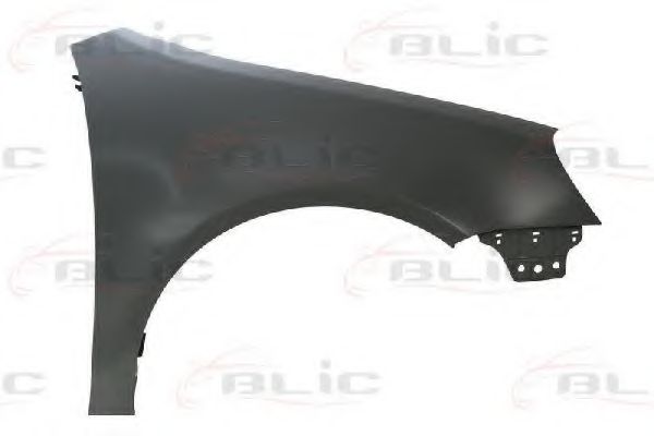 Крыло SCHLIECKMANN 455172