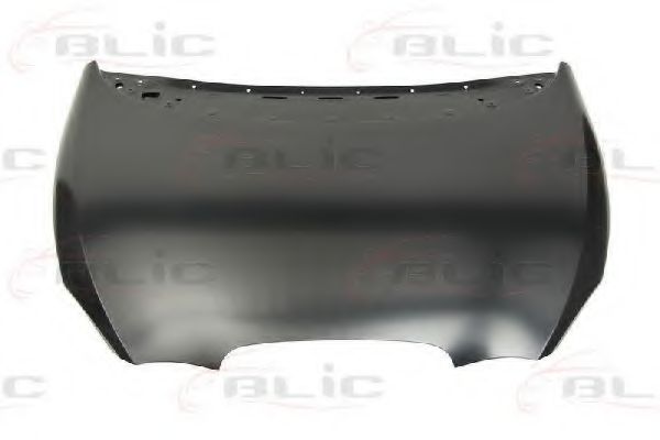 Капот двигателя SCHLIECKMANN 678700