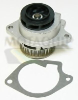Водяной насос MOTAQUIP VWP749