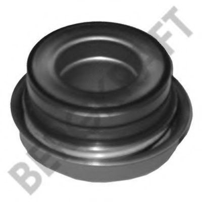 Прокладка, водяной насос BERGKRAFT BK8806403