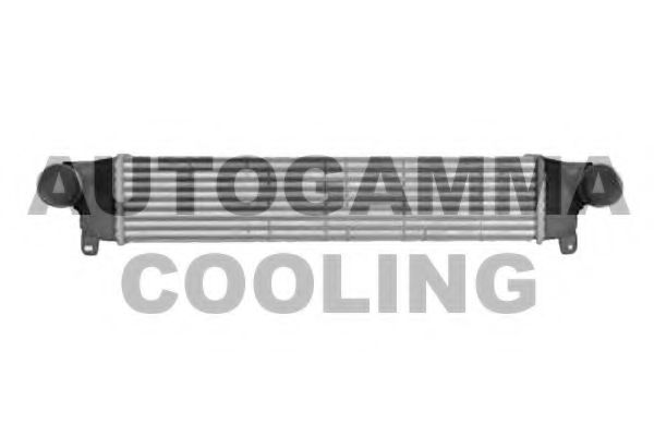 Интеркулер AUTOGAMMA 107312