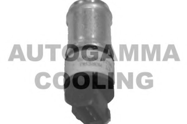 Дополнительный резистор, электромотор - вентилятор радиатора AUTOGAMMA GA15623