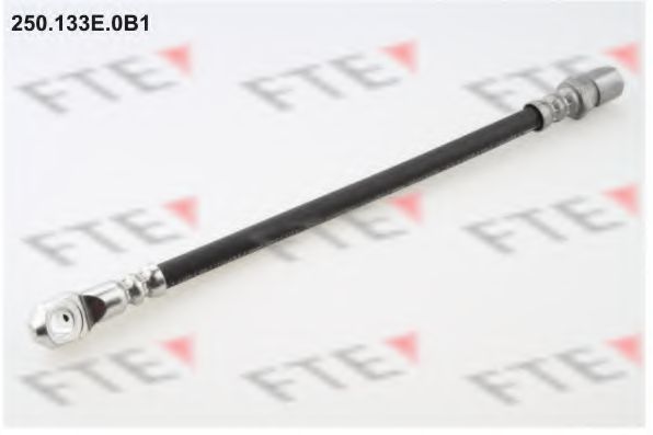 Тормозной шланг FTE 250.133E.0B1