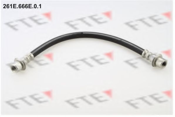 Тормозной шланг FTE 261E.666E.0.1