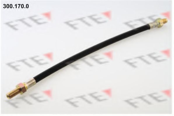 Тормозной шланг FTE 300.170.0