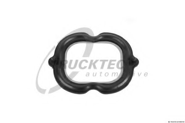Прокладка, впускной коллектор TRUCKTEC AUTOMOTIVE 01.16.103