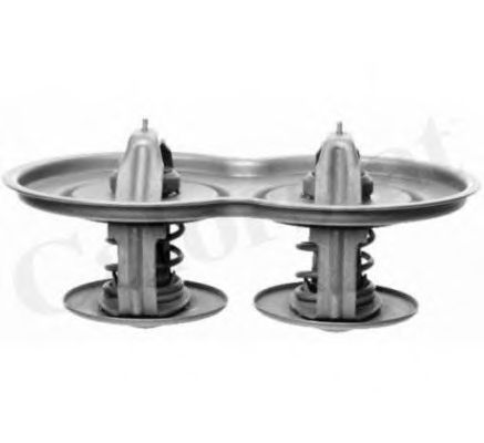 Термостат, охлаждающая жидкость LEMA 425180