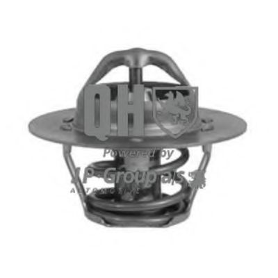 Термостат, охлаждающая жидкость JP GROUP 4914600319