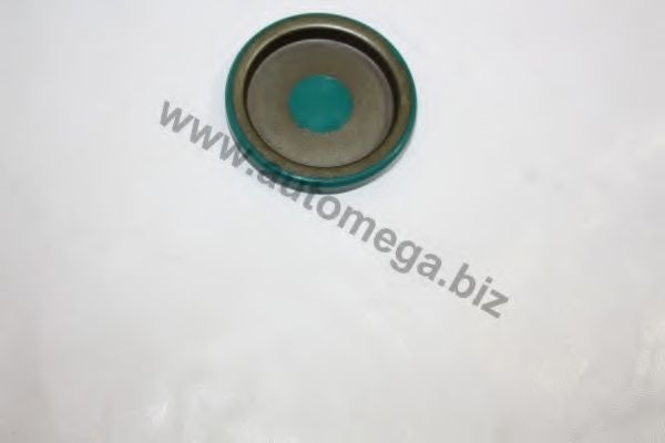 Фланцевая крышка, ступенчатая коробка передач AUTOMEGA 305170289002A