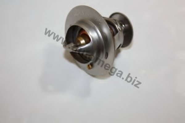 Термостат, охлаждающая жидкость AUTOMEGA 30100960283