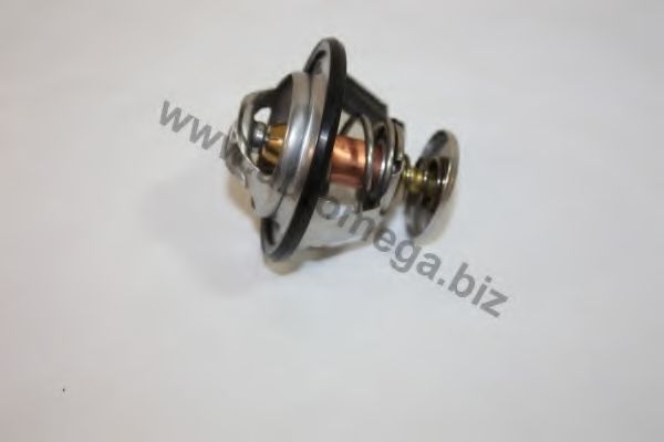 Термостат, охлаждающая жидкость AUTOMEGA 301338023