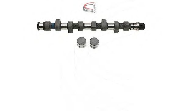 Комплект распредвала CAMPRO CP60213