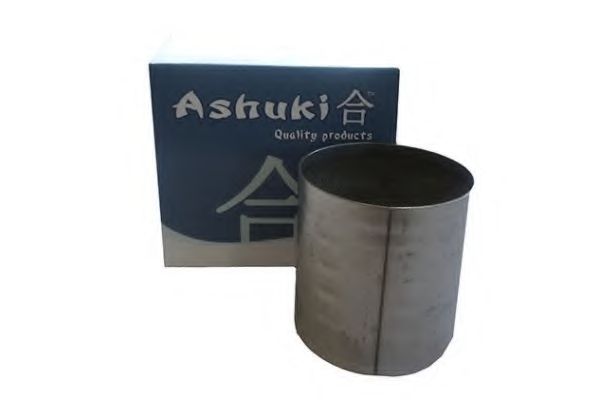 Катализатор ASHUKI B513-15
